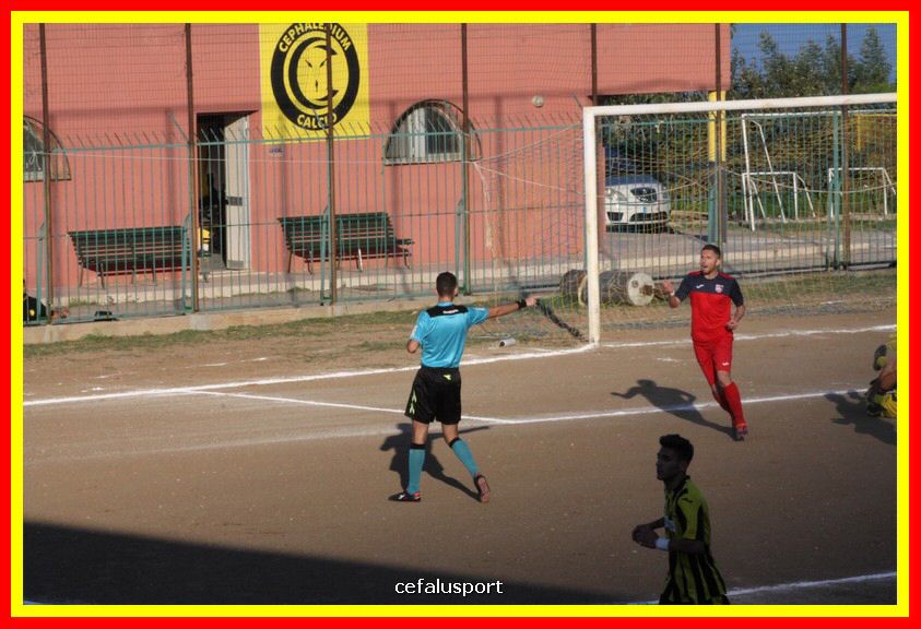 181111 Cepha_Milazzo 131_tn.JPG